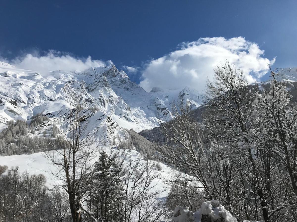 Des Alpes - Skiers & Bikers La Grave