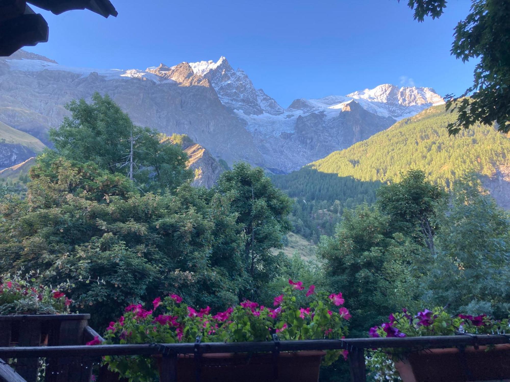 Des Alpes - Skiers & Bikers